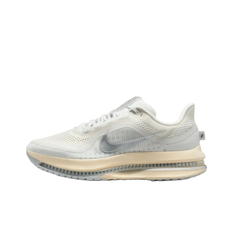Nike Pegasus Premium 'White Grey' Мужские