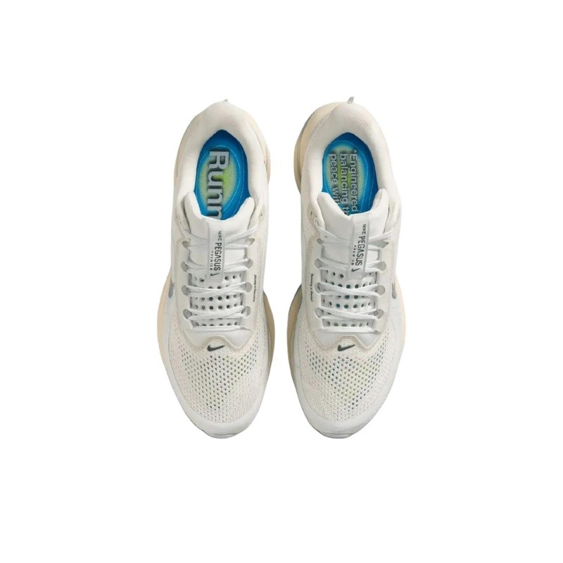 Nike Pegasus Premium 'Platinum Tint / Grey Fog / Iron Grey / Reflect Silver' Мужские