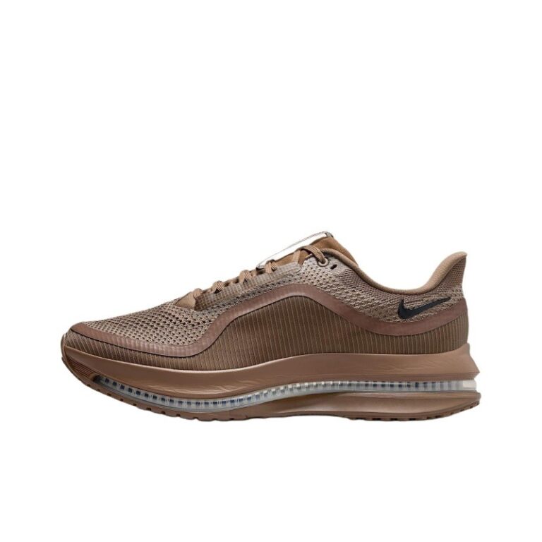 Nike Pegasus Premium 'Caldera Brown / Pecan' Мужские