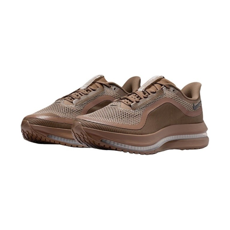 Nike Pegasus Premium 'Caldera Brown / Pecan' Мужские