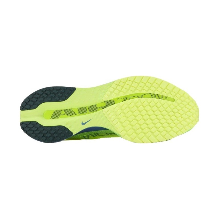 Nike Pegasus Premium 'Volt Ice / Lime Blast / Sapphire / Black Spruce' Мужские