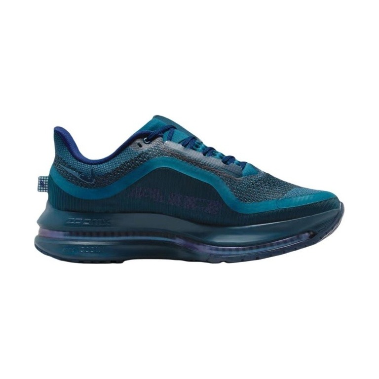 Nike Pegasus Premium 'Swarovski Zoom Blue' Женские