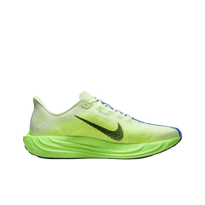 Nike Pegasus Plus 'Green' Мужские