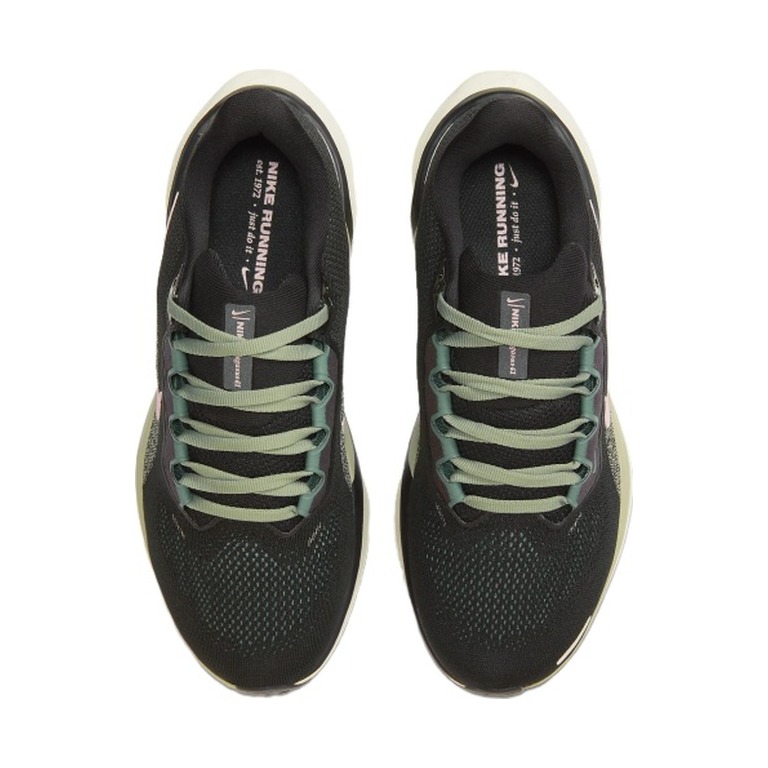 Nike Pegasus 41 'Black Jade' Женские