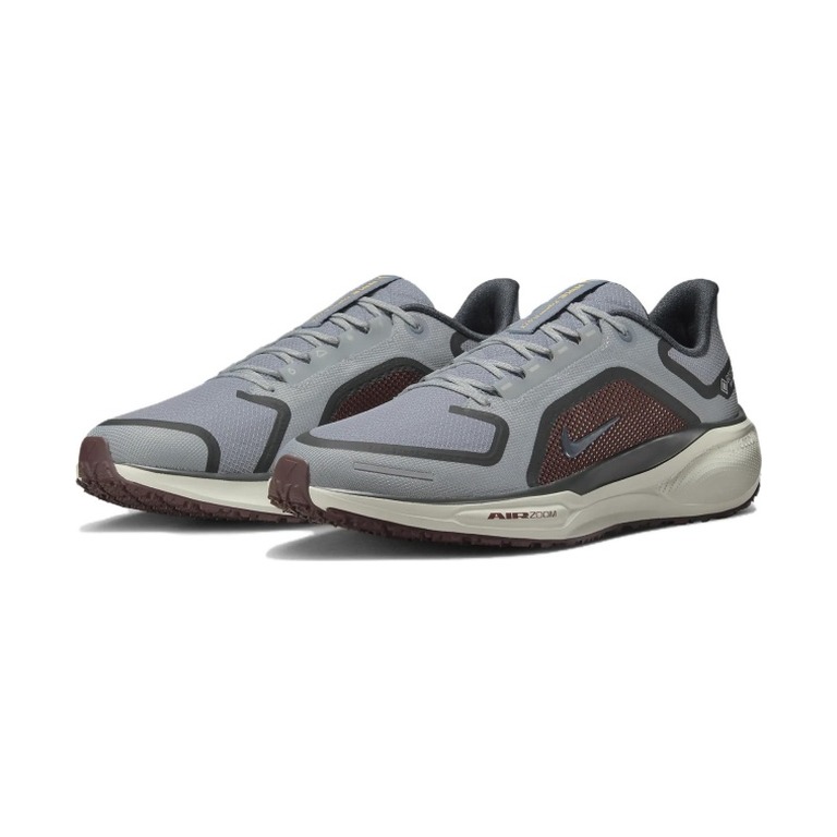 Nike Pegasus 41 Gore-Tex 'Zoom Gore Tex Light Pumice Ashen Slate Burgundy' Мужские