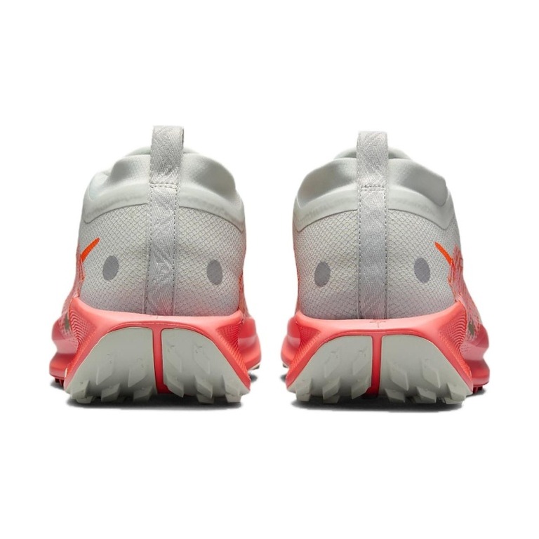 Nike Pegasus Trail 5 Gore-Tex 'Light Silver Light Wild Mango Vintage Coral Hyper Crimson' Мужские