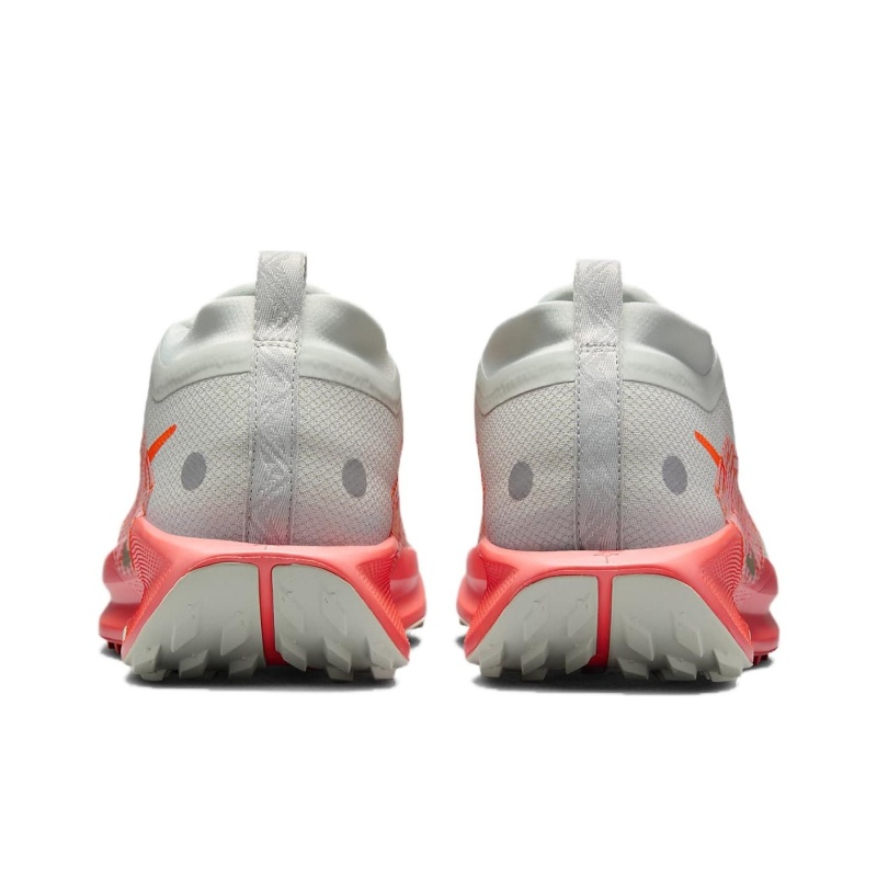 Nike Pegasus Trail 5 Gore-Tex 'Light Silver Light Wild Mango Vintage Coral Hyper Crimson' Мужские