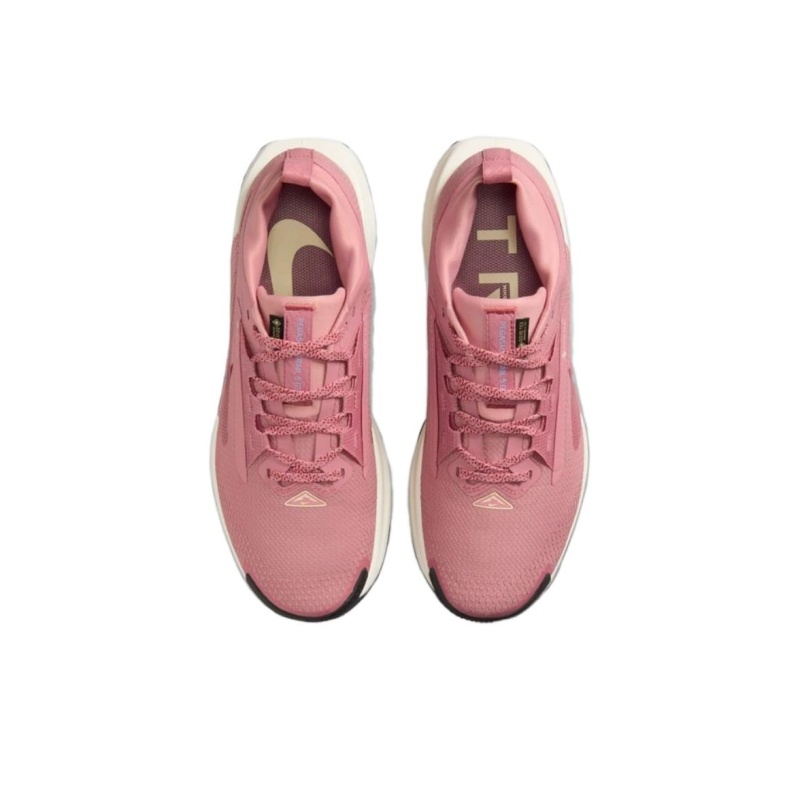 Nike Pegasus Trail 5 Gore-Tex 'Red Stardust Lilac Ice Alabaster Mars Stone' Женские