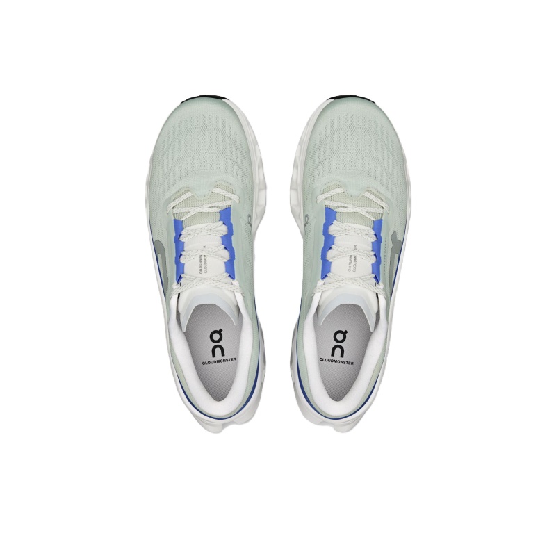 On Cloudmonster 3 '3MG10054726' Мужские