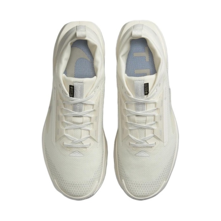 Nike Pegasus Trail 5 GTX 'Photon Dust' Мужские