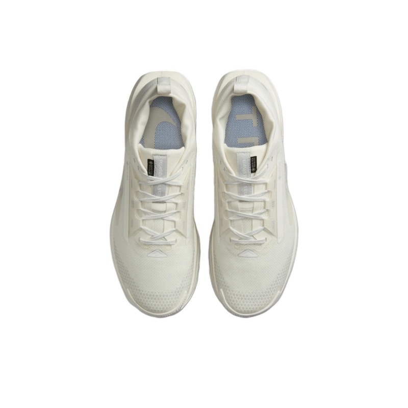 Nike Pegasus Trail 5 Gore-Tex 'Photon Dust' Мужские