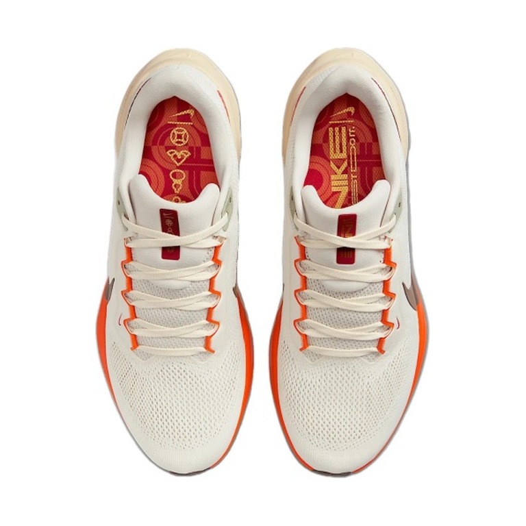 Nike Pegasus 41 'Zoom Year Of The Snake' Мужские