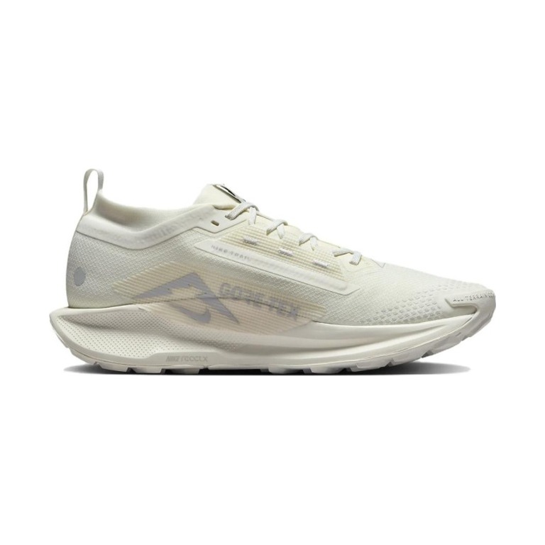 Nike Pegasus Trail 5 GTX 'Photon Dust' Мужские