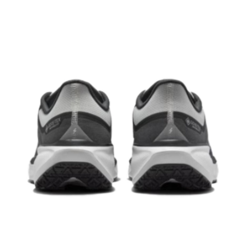 Nike Pegasus 41 Gore-Tex 'White Iron Grey' Мужские