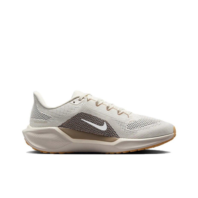 Nike Pegasus 41 Gore-Tex 'Brown' Женские