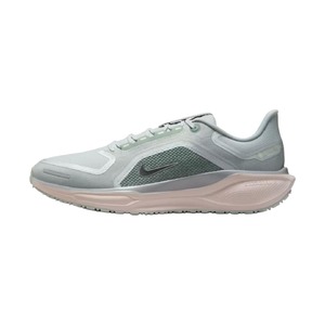 Nike Pegasus 41 GTX ‘Zoom Gore Tex Light Pumice Metallic Silver’ Мужские