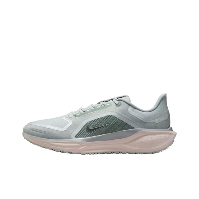 Nike Pegasus 41 GTX 'Zoom Gore Tex Light Pumice Metallic Silver' Мужские