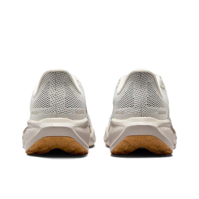 Nike Pegasus 41 Gore-Tex 'Brown' Женские