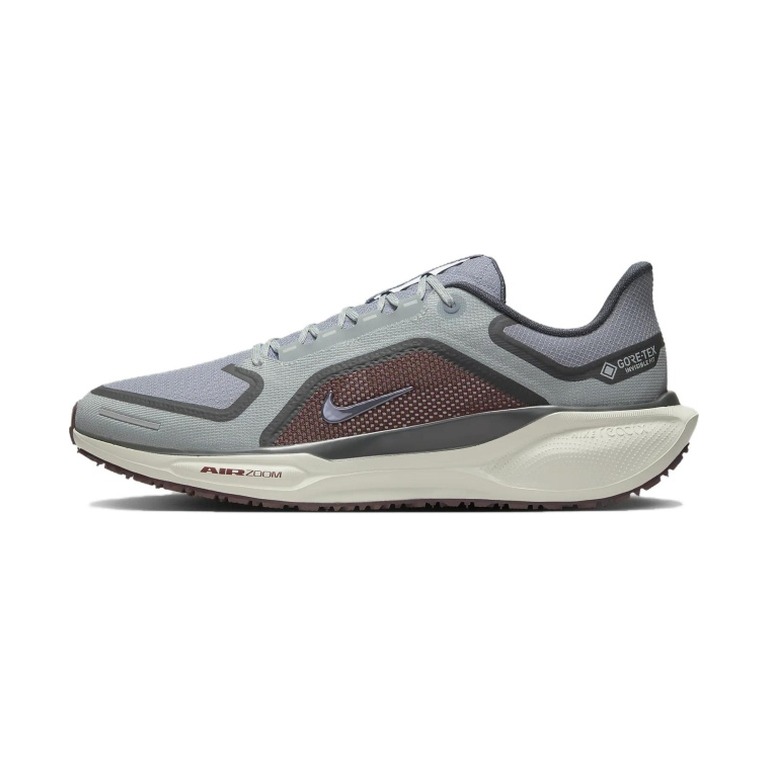 Nike Pegasus 41 Gore-Tex 'Zoom Gore Tex Light Pumice Ashen Slate Burgundy' Мужские