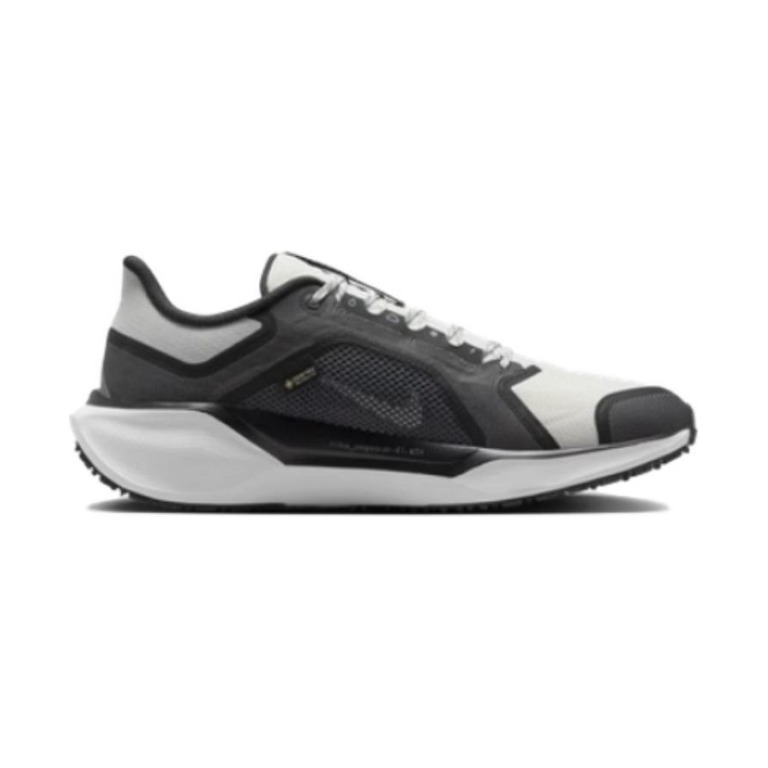 Nike Pegasus 41 GTX 'Black / Anthracite / Iron Grey / Summit White' Мужские