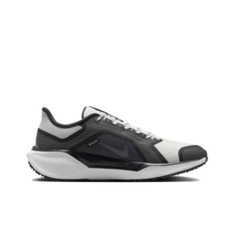 Nike Pegasus 41 Gore-Tex 'White Iron Grey' Мужские