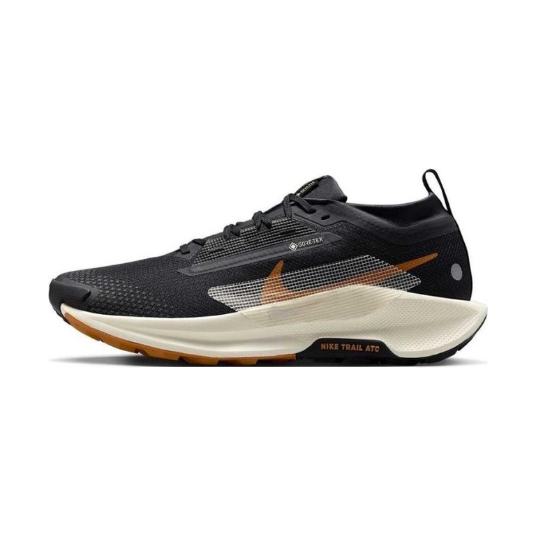 Nike Pegasus Trail 5 Gore-Tex 'Off Noir Black Monarch Pale Ivory' Мужские