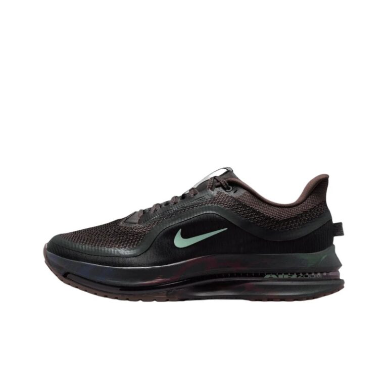 Nike Pegasus Premium 'Dark Brown' Мужские