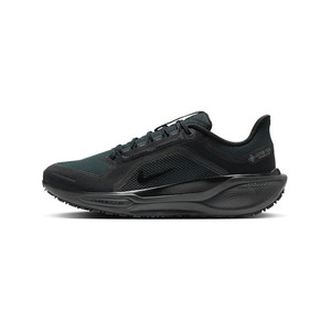 Nike Pegasus 41 Gore-Tex ‘Black Anthracite Black’ Мужские