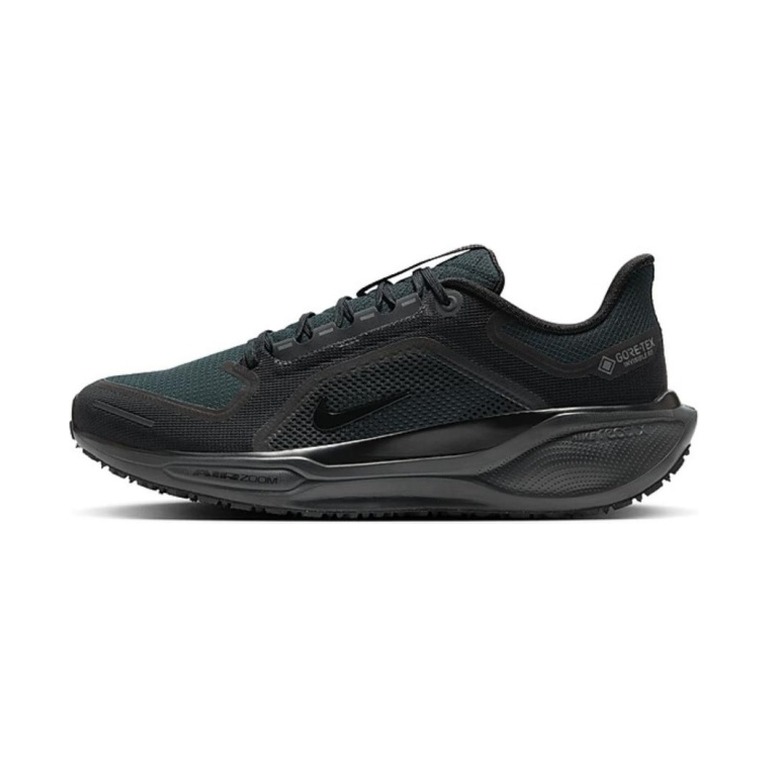 Nike Pegasus 41 Gore-Tex 'Black Anthracite Black' Мужские