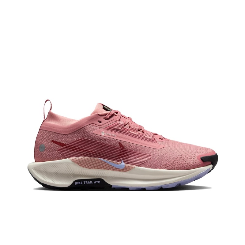 Nike Pegasus Trail 5 Gore-Tex 'Red Stardust Lilac Ice Alabaster Mars Stone' Женские