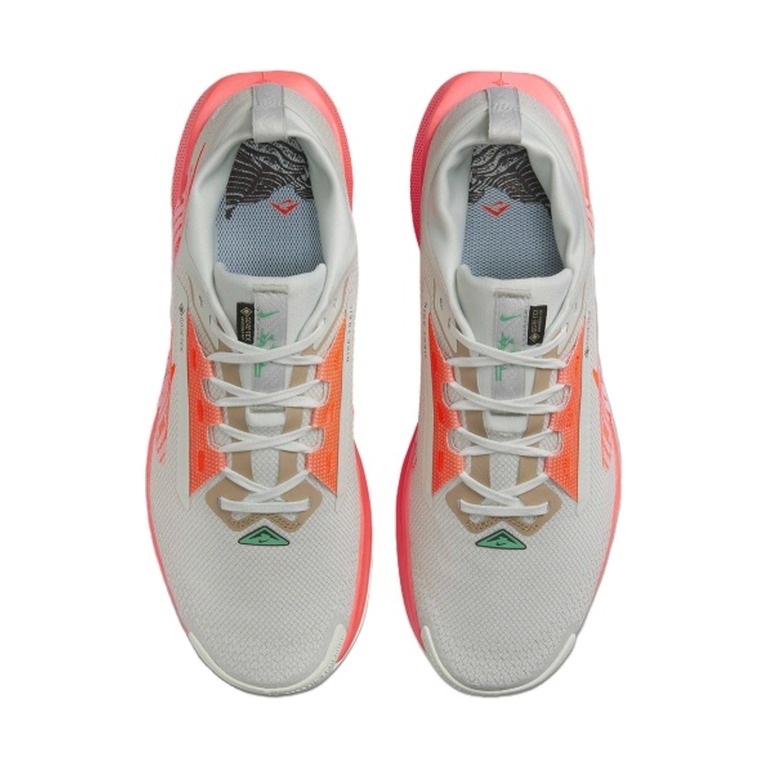 Nike Pegasus Trail 5 Gore-Tex 'Light Silver Light Wild Mango Vintage Coral Hyper Crimson' Мужские