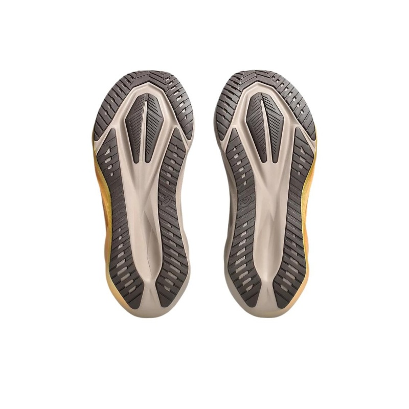 Asics Novablast 5 'Umber' Мужские