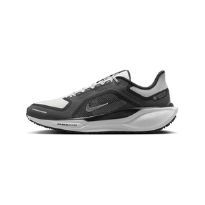 Nike Pegasus 41 Gore-Tex ‘White Iron Grey’ Мужские