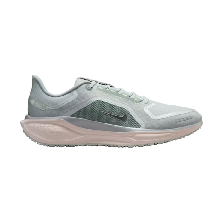 Nike Pegasus 41 GTX 'Zoom Gore Tex Light Pumice Metallic Silver' Мужские