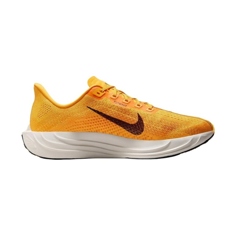 Nike Pegasus Plus 'Modern Mayfly' Мужские