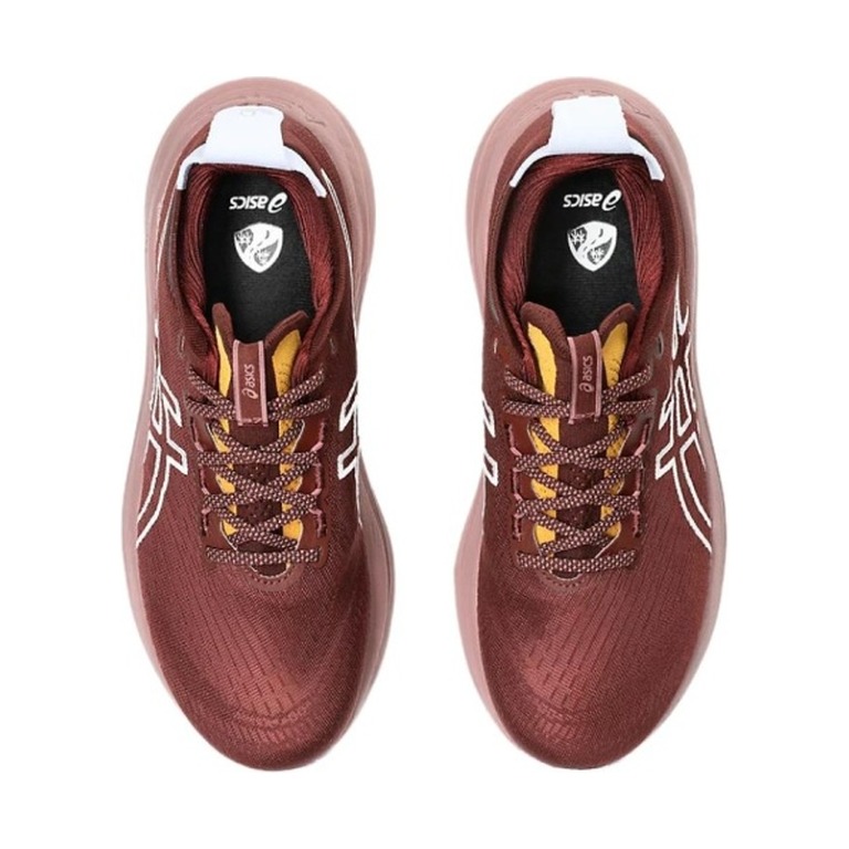 ASICS Gel-Nimbus 27 'Gel Nimbus Tr Nature Bathing Dark Red Planet' Женские