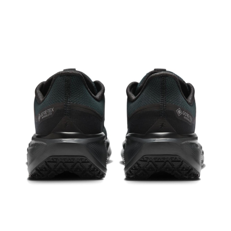 Nike Pegasus 41 Gore-Tex 'Black Anthracite Black' Мужские