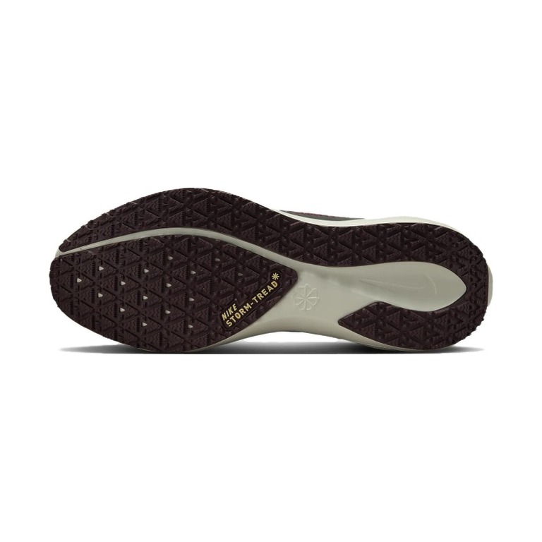 Nike Pegasus 41 Gore-Tex 'Zoom Gore Tex Light Pumice Ashen Slate Burgundy' Мужские