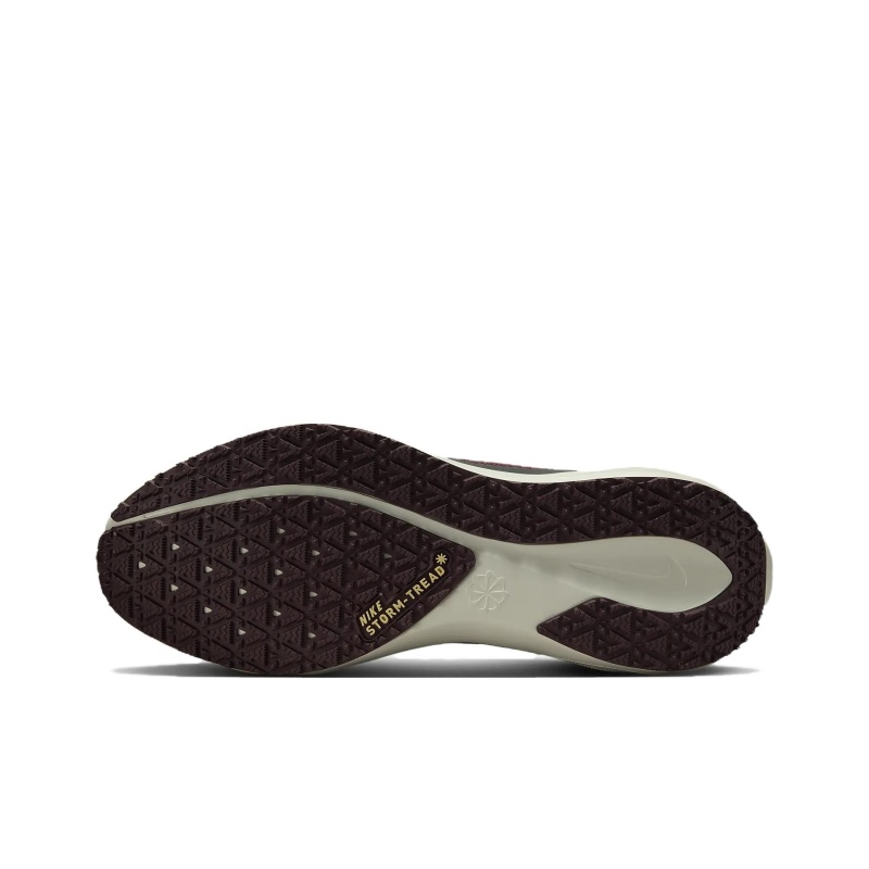 Nike Pegasus 41 Gore-Tex 'Grey' Мужские