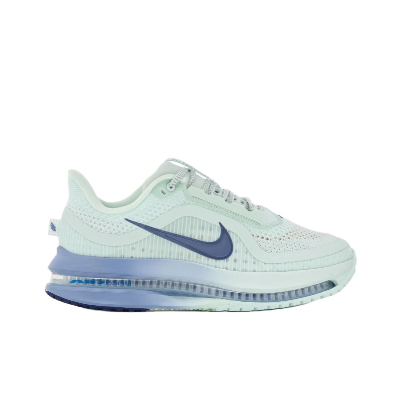 Nike Pegasus Premium 'Green' Женские