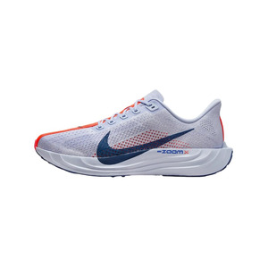 Nike Pegasus Plus ‘Blue’ Мужские