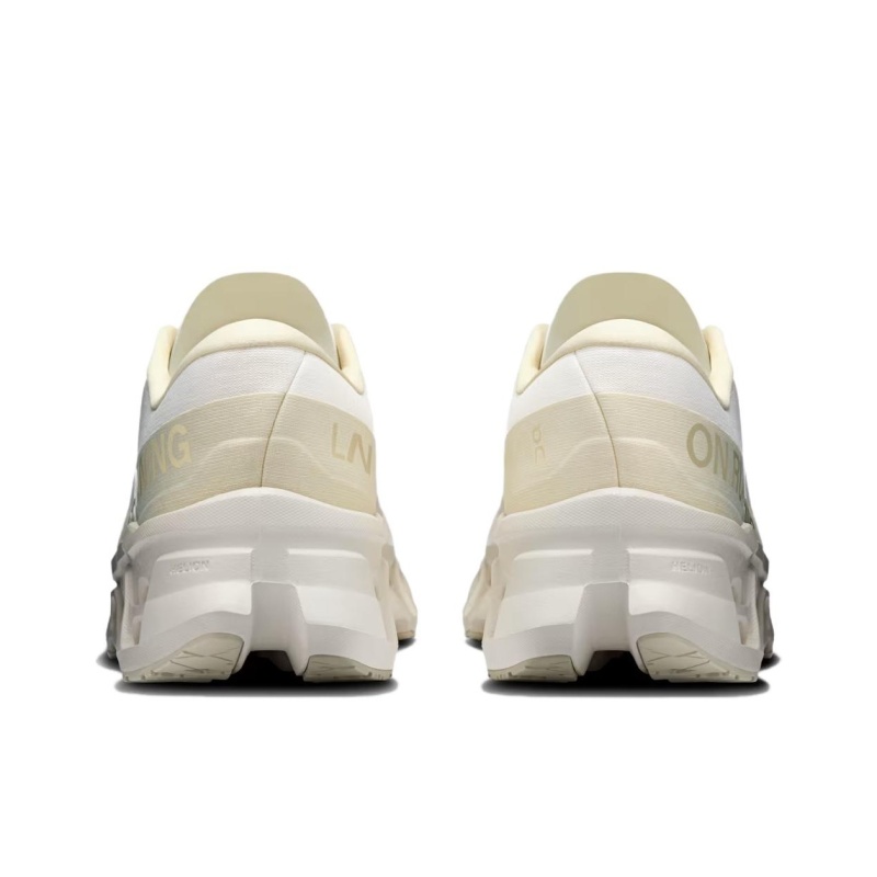 On Cloudmonster 3 Ln1 'Multicolor' Мужские