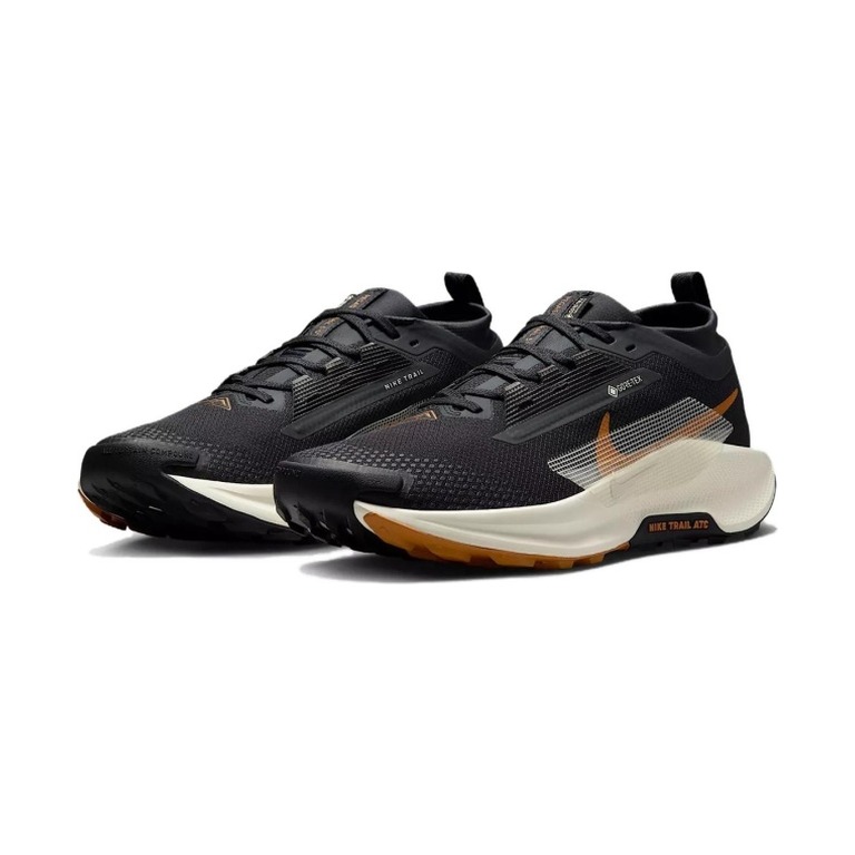 Nike Pegasus Trail 5 Gore-Tex 'Off Noir Black Monarch Pale Ivory' Мужские