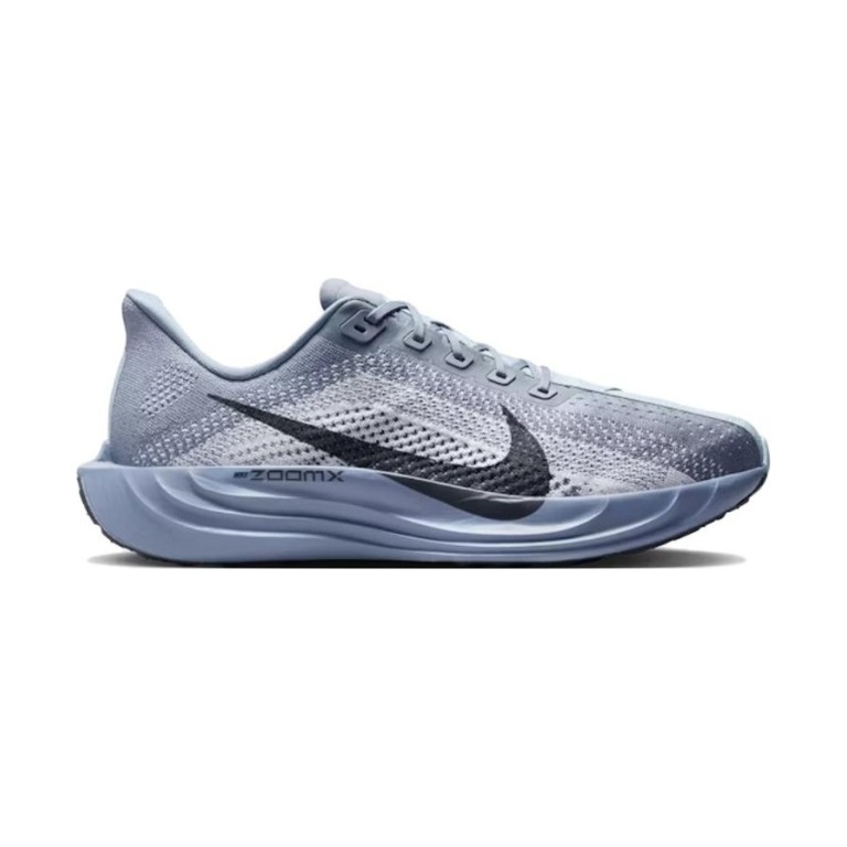 Nike Pegasus Plus 'Ashen Slate / White / Pure Platinum / Anthracite' Мужские