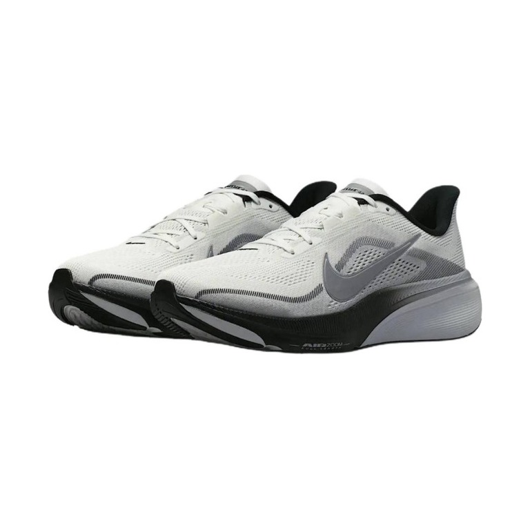 Nike Pegasus 42 'Summit White / Photon Dust / Black / Metallic Silver' Мужские