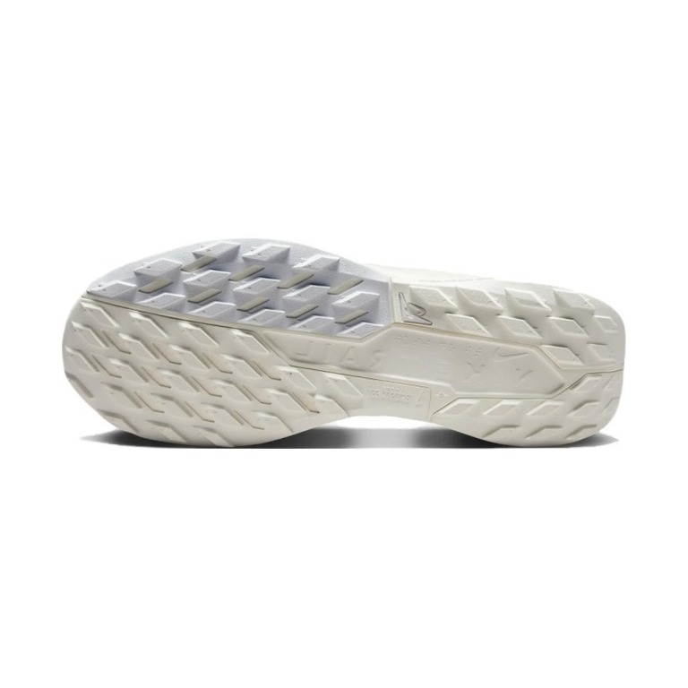 Nike Pegasus Trail 5 GTX 'Photon Dust' Мужские