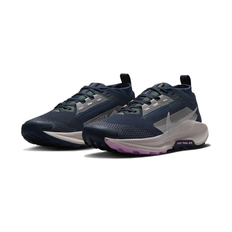 Nike Pegasus Trail 5 Gore-Tex 'Armory Navy Vintage Green Platinum Violet' Женские