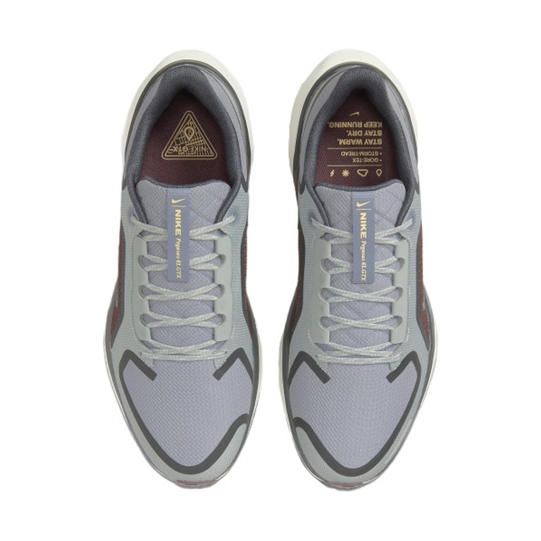 Nike Pegasus 41 Gore-Tex 'Zoom Gore Tex Light Pumice Ashen Slate Burgundy' Мужские