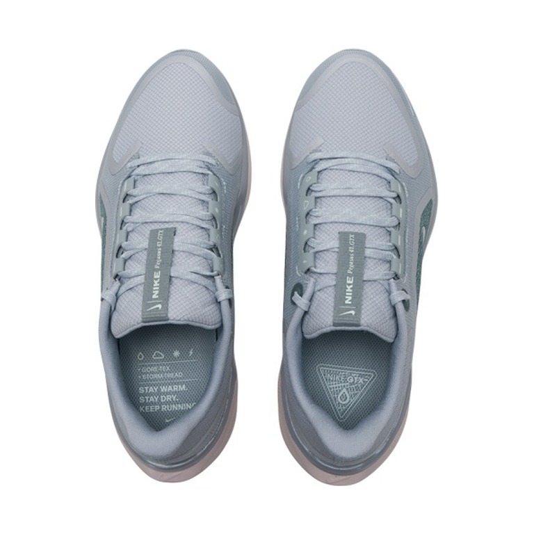 Nike Pegasus 41 GTX 'Zoom Gore Tex Light Pumice Metallic Silver' Мужские