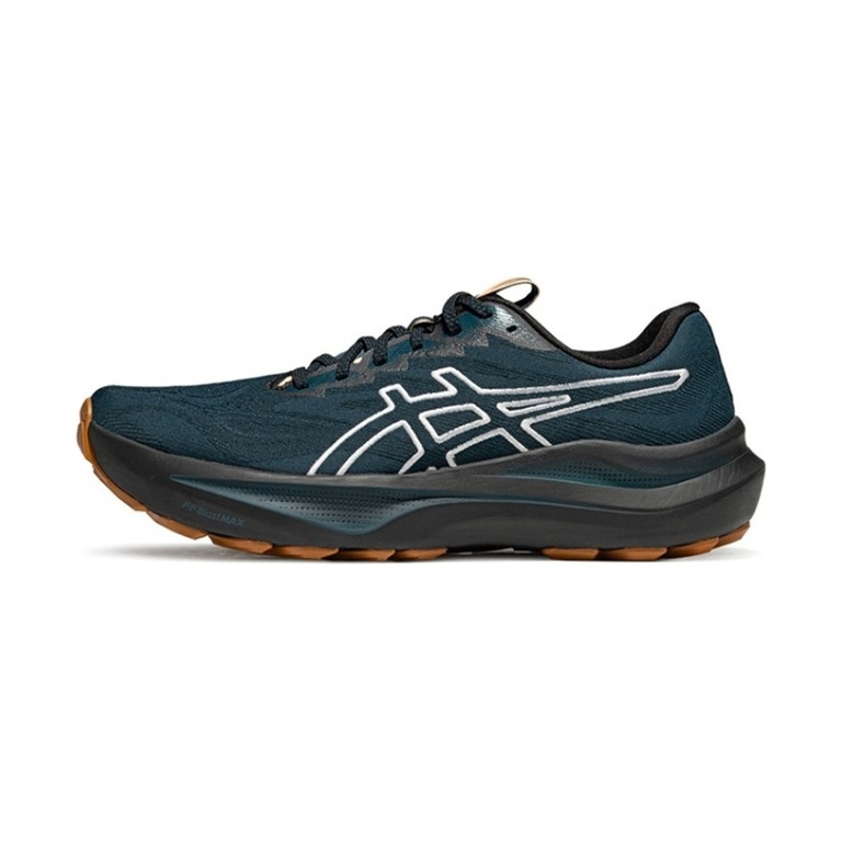 ASICS GT-2000 13 'Foggy Teal / Blue' Мужские